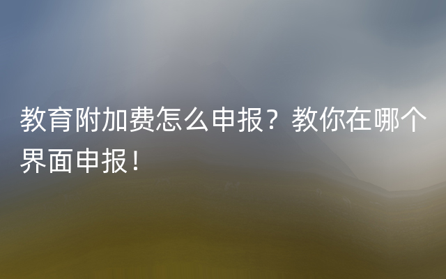 教育附加费怎么申报？教你在哪个界面申报！