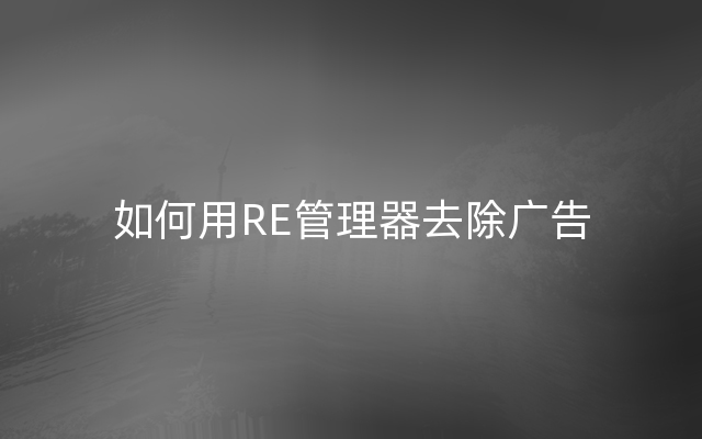 如何用RE管理器去除广告