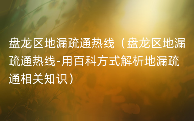 盘龙区地漏疏通热线（盘龙区地漏疏通热线-用百科方式解析地漏疏通相关知识）