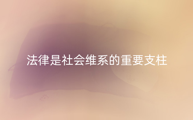 法律是社会维系的重要支柱