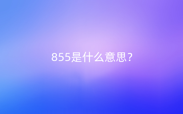 855是什么意思？