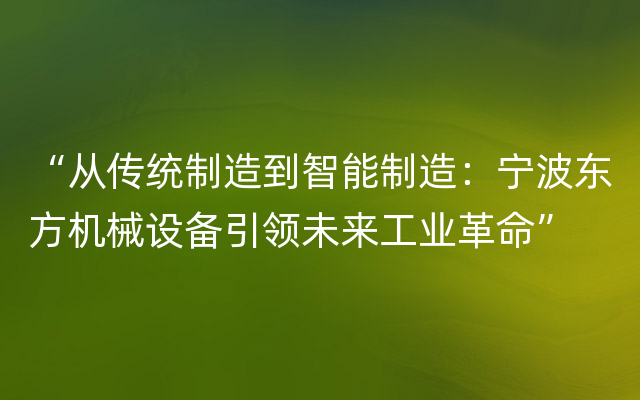 “从传统制造到智能制造：宁波东方机械设备引领未