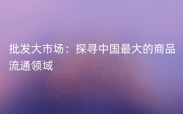 批发大市场：探寻中国最大的商品流通领域