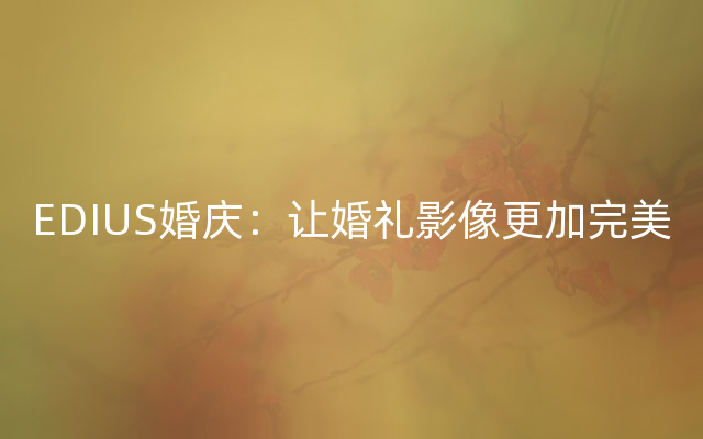 EDIUS婚庆：让婚礼影像更加完美