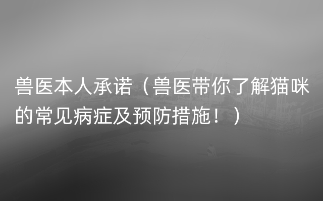 兽医本人承诺（兽医带你了解猫咪的常见病症及预防