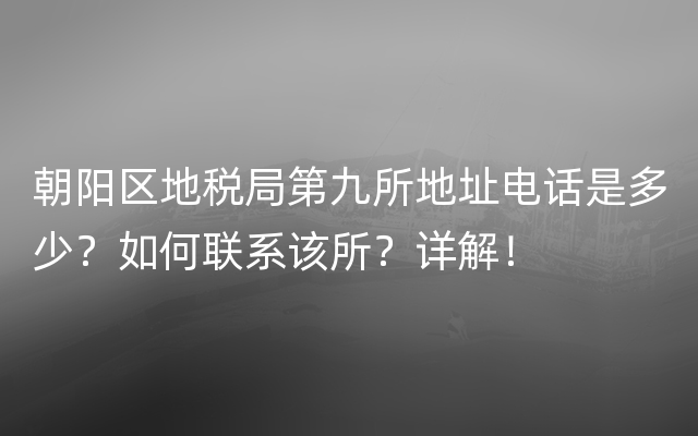 朝阳区地税局第九所地址电话是多少？如何联系该所？详解！