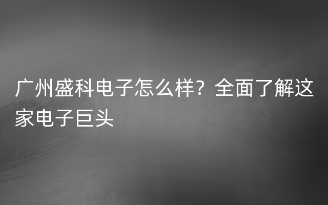 广州盛科电子怎么样？全面了解这家电子巨头