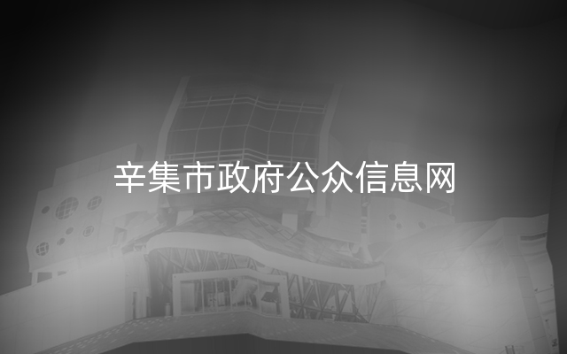 辛集市政府公众信息网