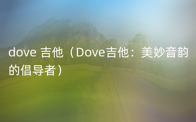 dove 吉他（Dove吉他：美妙音韵的倡导者）