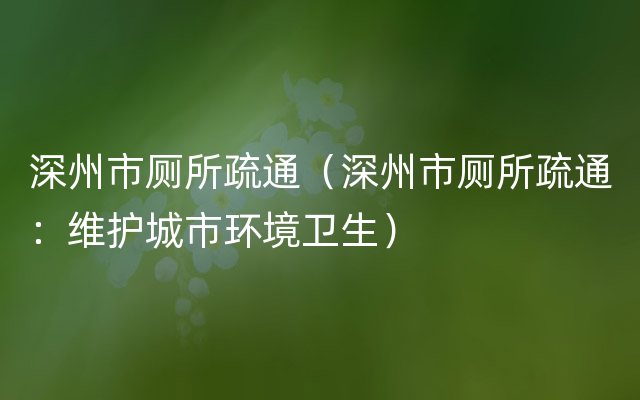 深州市厕所疏通（深州市厕所疏通：维护城市环境卫