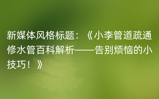 新媒体风格标题：《小李管道疏通修水管百科解析—