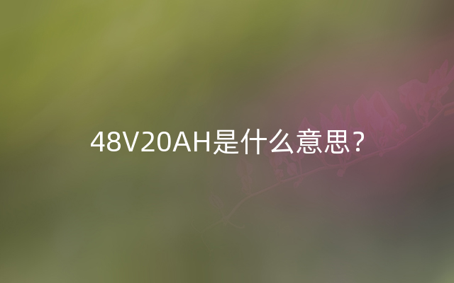 48V20AH是什么意思？