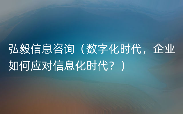 弘毅信息咨询（数字化时代，企业如何应对信息化时代？）