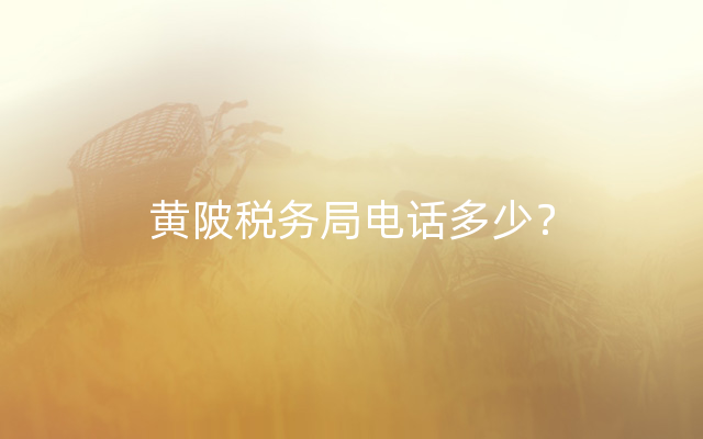 黄陂税务局电话多少？