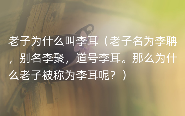 老子为什么叫李耳（老子名为李聃，别名李聚，道号李耳。那么为什么老子被称为李耳呢？