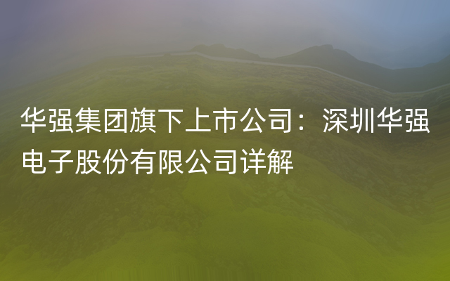 华强集团旗下上市公司：深圳华强电子股份有限公司