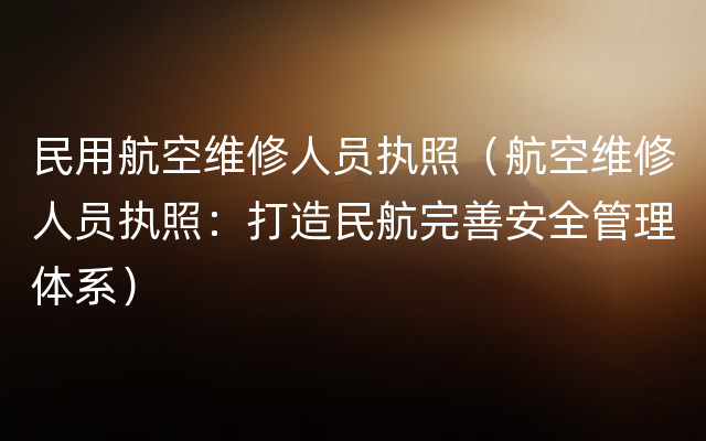 民用航空维修人员执照（航空维修人员执照：打造民航完善安全管理体系）