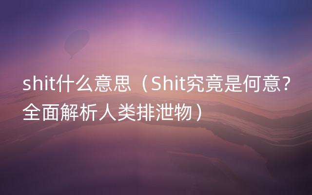 shit什么意思（Shit究竟是何意？全面解析人类排泄物）