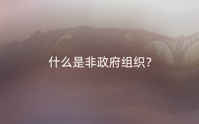 什么是非政府组织？