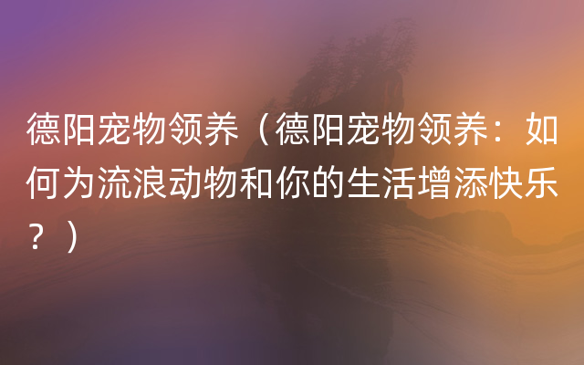 德阳宠物领养（德阳宠物领养：如何为流浪动物和你