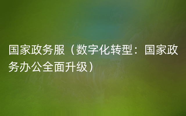 国家政务服（数字化转型：国家政务办公全面升级）