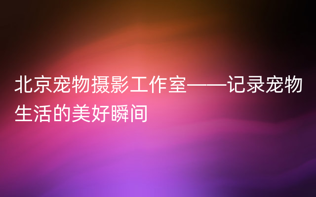 北京宠物摄影工作室——记录宠物生活的美好瞬间