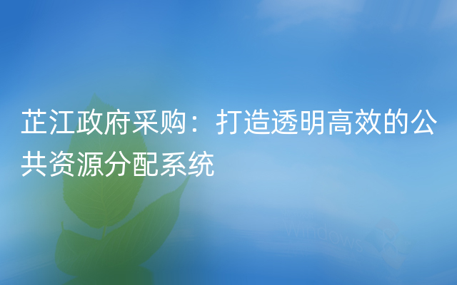 芷江政府采购：打造透明高效的公共资源分配系统