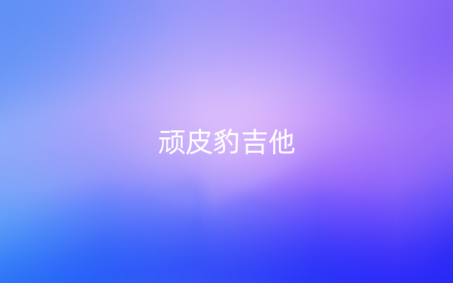 顽皮豹吉他