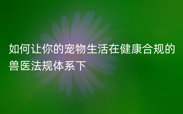 如何让你的宠物生活在健康合规的兽医法规体系下