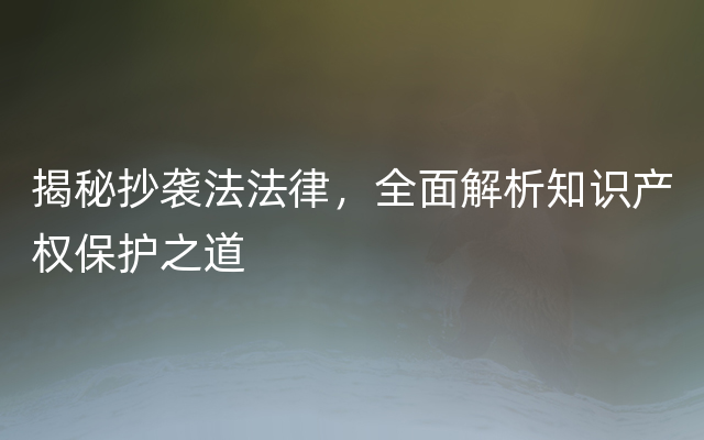 揭秘抄袭法法律，全面解析知识产权保护之道