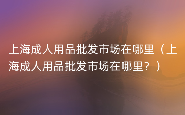 上海成人用品批发市场在哪里（上海成人用品批发市场在哪里？）