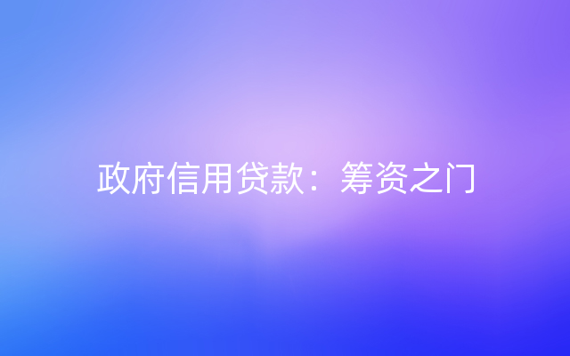 政府信用贷款：筹资之门