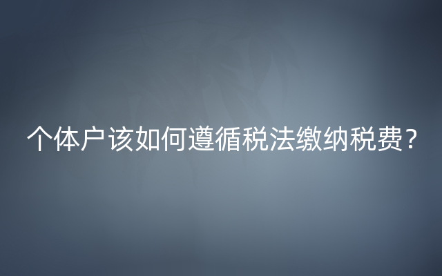 个体户该如何遵循税法缴纳税费？