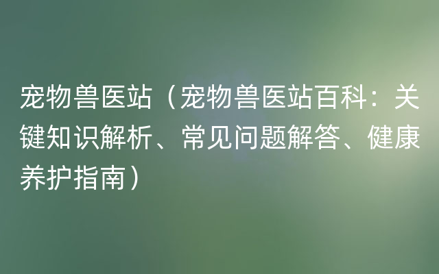 宠物兽医站（宠物兽医站百科：关键知识解析、常见问题解答、健康养护指南）