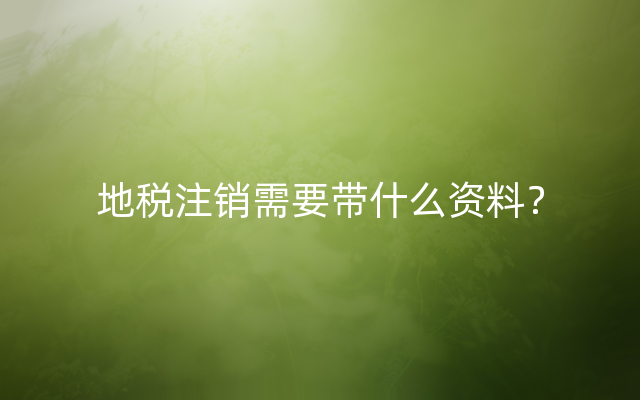 地税注销需要带什么资料？