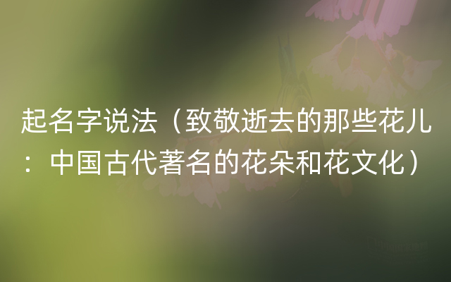 起名字说法（致敬逝去的那些花儿：中国古代著名的花朵和花文化）