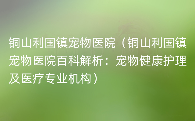 铜山利国镇宠物医院（铜山利国镇宠物医院百科解析：宠物健康护理及医疗专业机构）