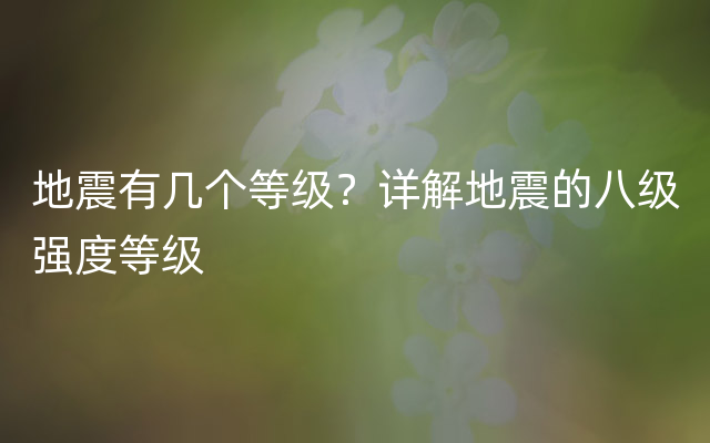 地震有几个等级？详解地震的八级强度等级