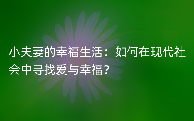 小夫妻的幸福生活：如何在现代社会中寻找爱与幸福