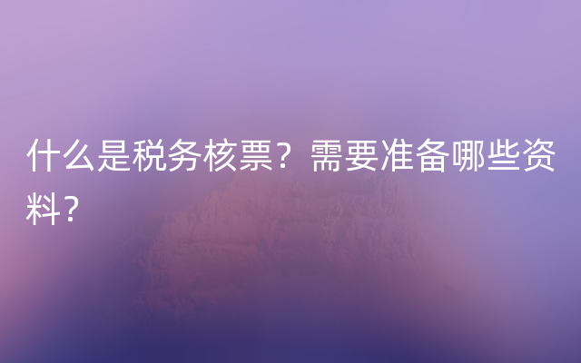 什么是税务核票？需要准备哪些资料？