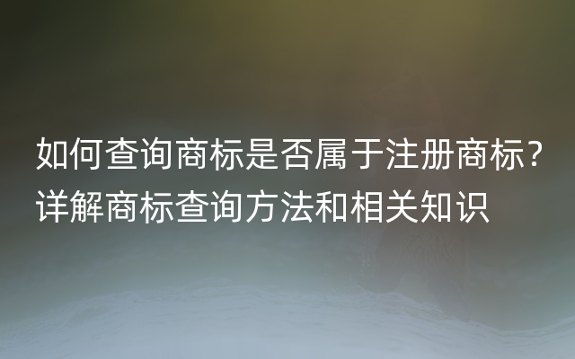 如何查询商标是否属于注册商标？详解商标查询方法和相关知识