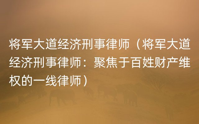 将军大道经济刑事律师（将军大道经济刑事律师：聚焦于百姓财产维权的一线律师）