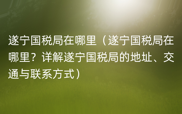 遂宁国税局在哪里（遂宁国税局在哪里？详解遂宁国