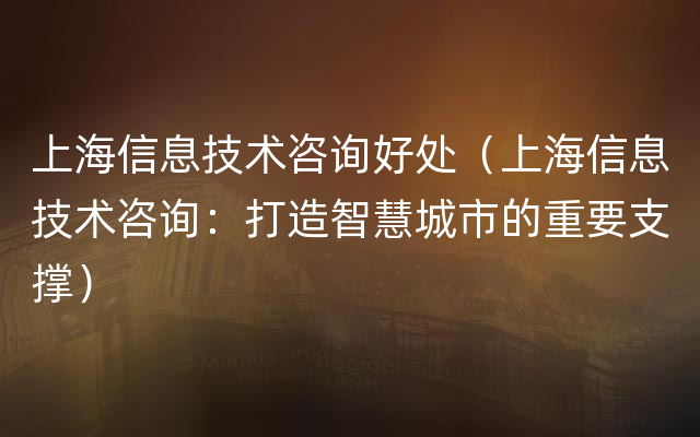 上海信息技术咨询好处（上海信息技术咨询：打造智慧城市的重要支撑）