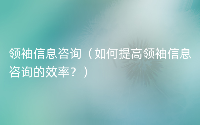 领袖信息咨询（如何提高领袖信息咨询的效率？）