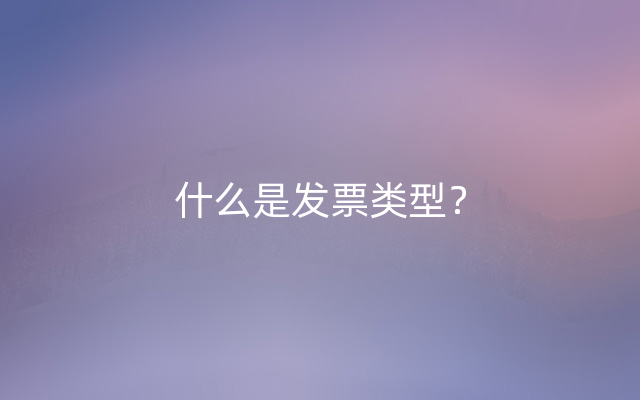 什么是发票类型？