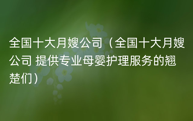 全国十大月嫂公司（全国十大月嫂公司 提供专业母婴护理服务的翘楚们）