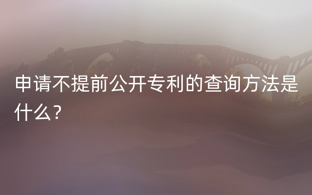 申请不提前公开专利的查询方法是什么？