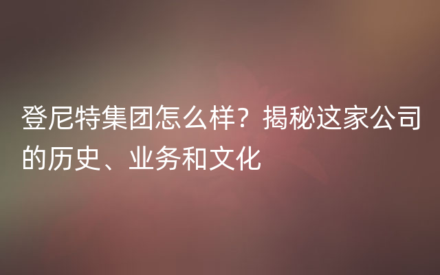 登尼特集团怎么样？揭秘这家公司的历史、业务和文化