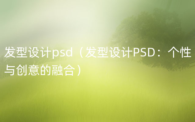 发型设计psd（发型设计PSD：个性与创意的融合）